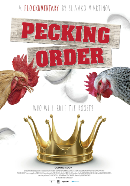PECKING ORDER Trailer: Chickens Are Silly, But So Are People